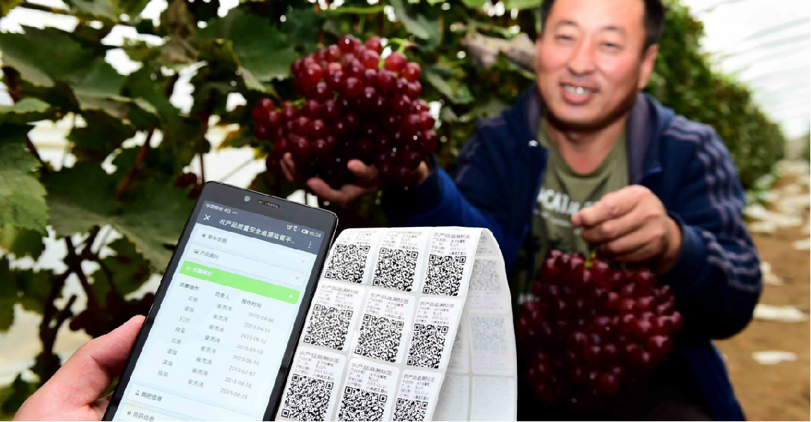 上游：标准化种植与溯源