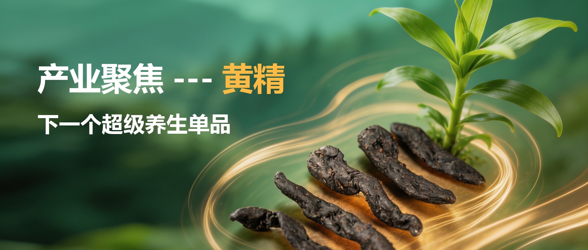 首页幻灯
