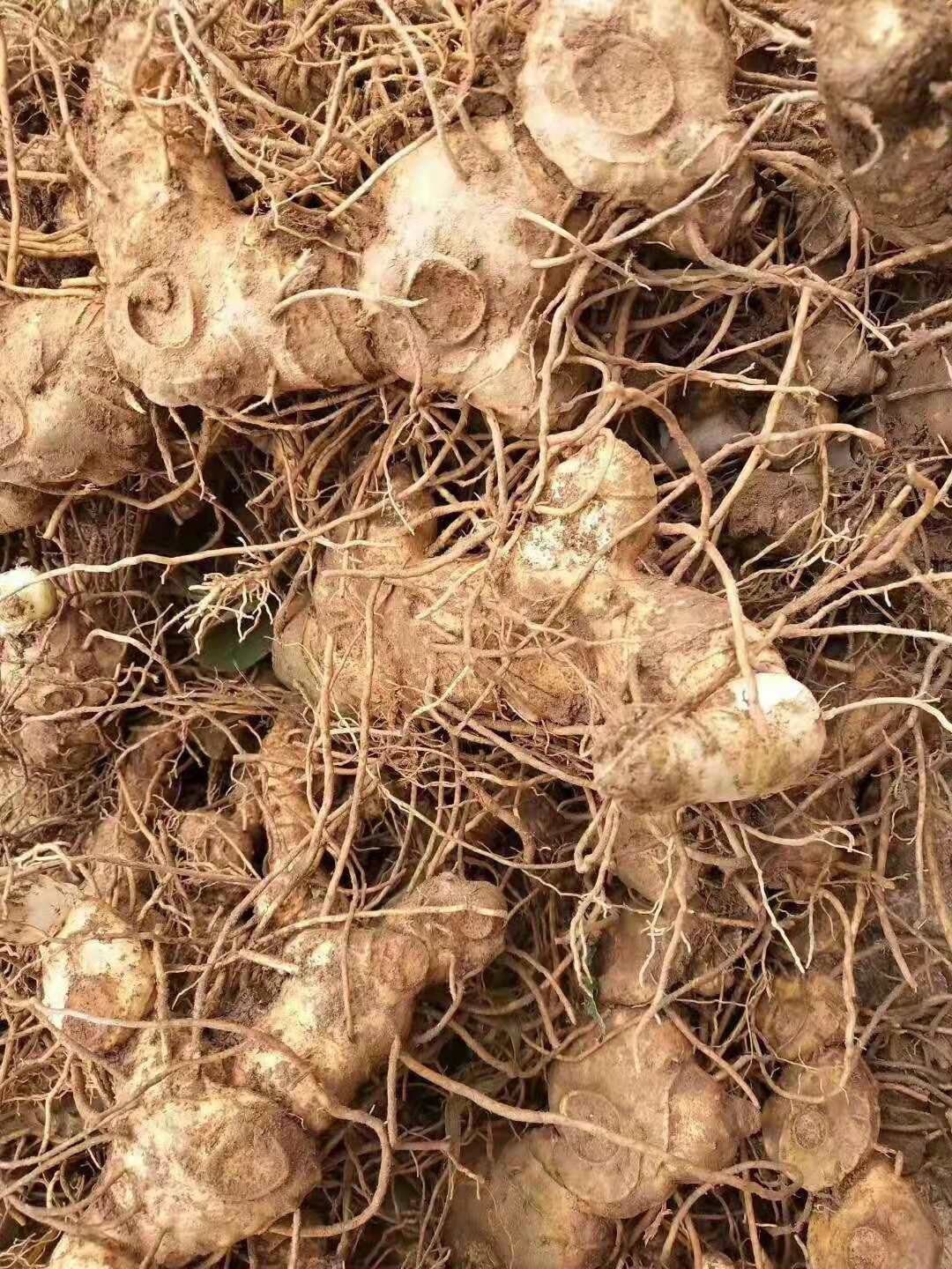 时隔7年再现退市白酒股！剩余6家ST酒企命运如何？